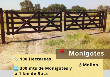 Campo en venta
