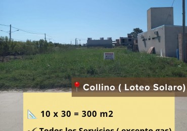 Lote en venta